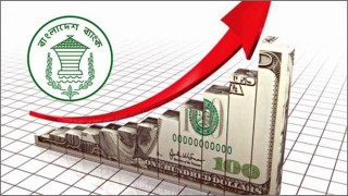 দেশে ৪৬ বিলিয়ন ডলার রিজার্ভের মাইলফলক